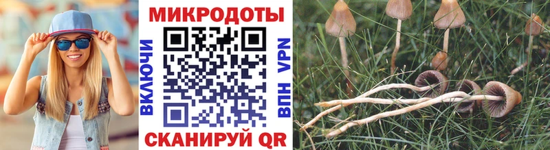 Псилоцибиновые грибы MAGIC MUSHROOMS  как найти закладки  Макарьев 